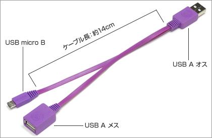 イメージ1
