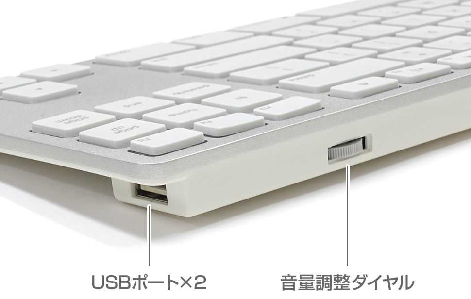 APPLE KEYBOARD (US)テンキーレス