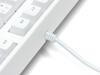 HAKUA Tenkeyless US: image 11 of 15 thumb