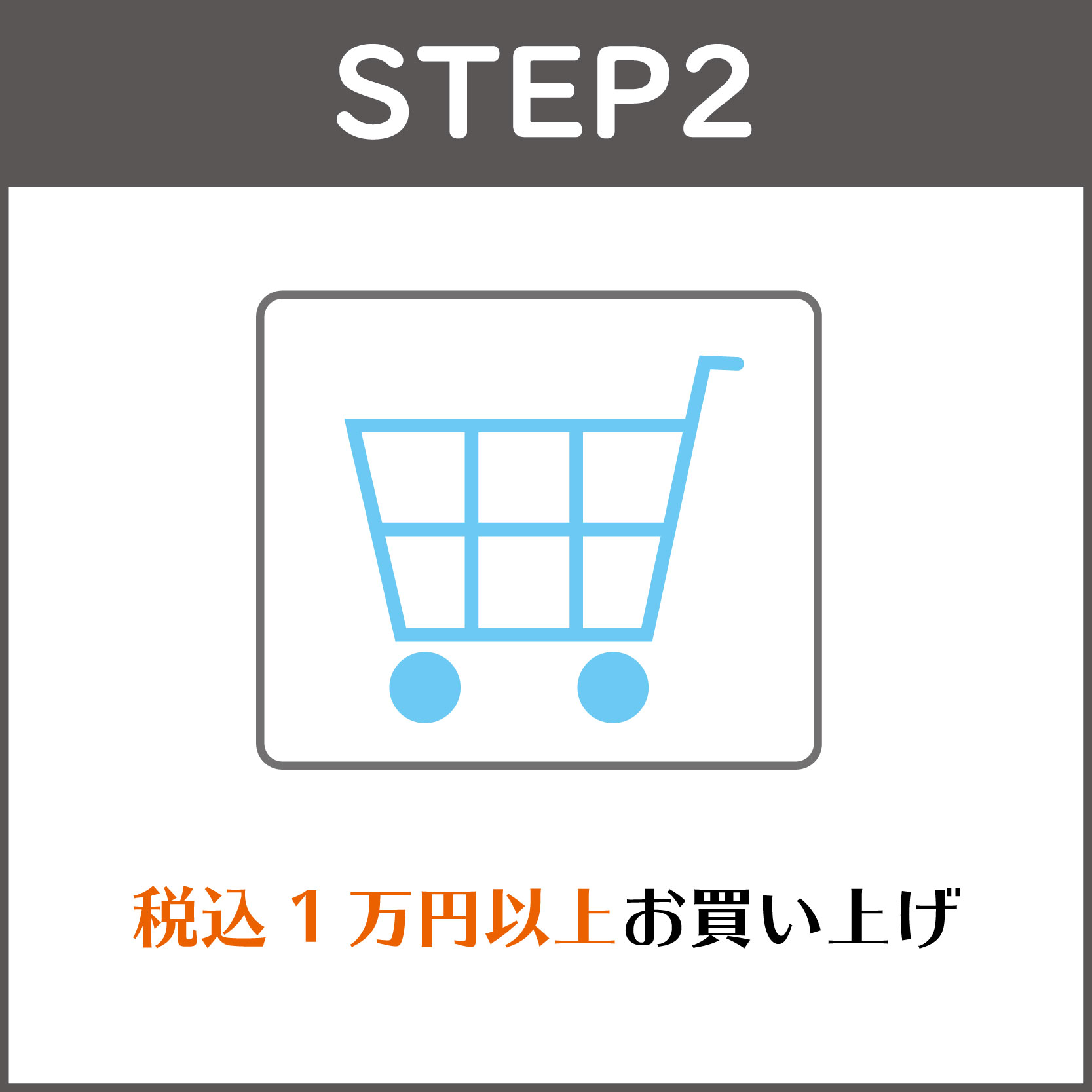 STEP2:税込1万円以上お買い上げ